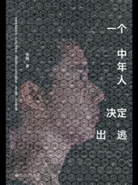 《一个中年人决定出逃》-张畅