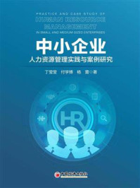 《中小企业人力资源管理实践与案例研究》-丁莹莹