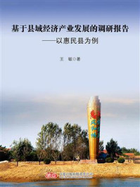 《基于县域经济产业发展的调研报告：以惠民县为例》-王敏