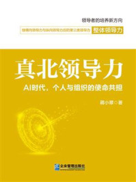 《真北领导力:AI时代,个人与组织的使命共担》-蒋小翠 《真北领导力:AI时代,个人与组织的使命共担》-蒋小翠
