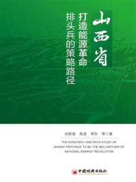《山西省打造能源革命排头兵的策略路径》-肖新建