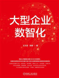 《大型企业数智化》-王文京