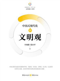 《中国式现代化的文明观》-辛向阳 《中国式现代化的文明观》-辛向阳
