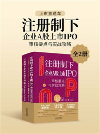 《上市直通车：注册制下企业A股上市IPO审核要点与实战攻略（全2册）》-王贺