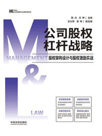 《公司股权杠杆战略： 股权架构设计与股权激励实战》-陈元