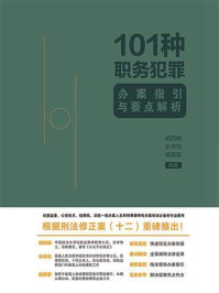 《101种职务犯罪办案指引与要点解析》-胡雨晴