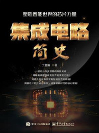 《集成电路简史：塑造智能世界的芯片力量》-丁金滨