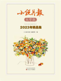 《小说月报大字版2023年精品集》-《小说月报》编辑部