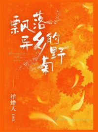 《飘落异乡的野菊》-洋蜡人