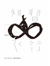 《短暂飞行》-张向东