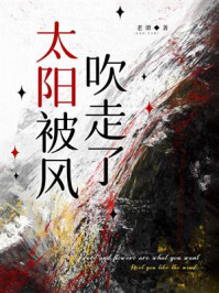 《太阳被风吹走了》-老谭
