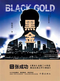 《黑金》-张成功