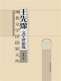 《王先霈文学评论选》-王先霈