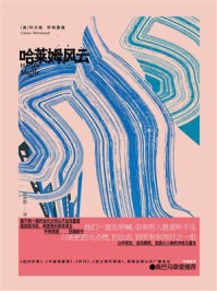 《哈莱姆风云》-科尔森·怀特黑德