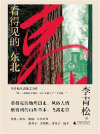 《看得见的东北》-李青松