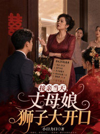 《接亲当天，丈母娘狮子大开口》-小口力口