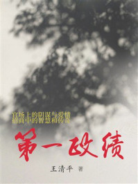 《第一政绩》-王清平