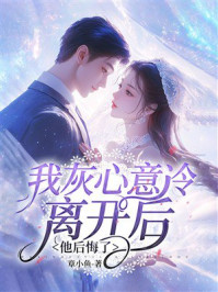 《我灰心意冷离开后，他后悔了》-章小鱼