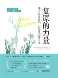 《复原的力量：5大高效能法则，助你逆势创造奇迹》-邦妮&middot;圣约翰