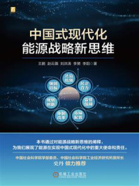 《中国式现代化能源战略新思维》-王鹏