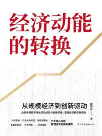 《经济动能的转换：从规模经济到创新驱动》-盘和林