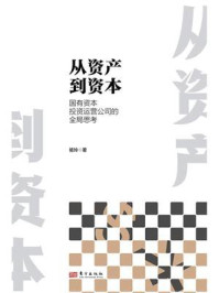 《从资产到资本：国有资本投资运营公司的全局思考》-骆玲