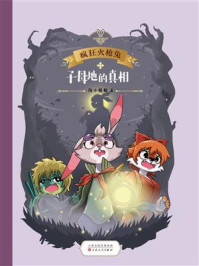 《疯狂火枪兔：子母地的真相》-海小枪枪