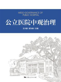 《公立医院中观治理》-王兴鹏