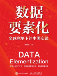 《数据要素化：全球竞争下的中国实践》-傅建平