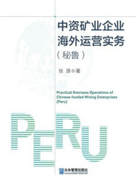 《中资矿业企业海外运营实务（秘鲁）》-张源