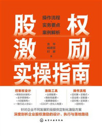《股权激励实操指南：操作流程&middot;实务要点&middot;案例解析》-袁琴