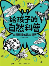 《古灵精怪的昆虫世界》-江泓
