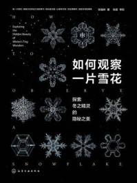 《如何观察一片雪花：探索冬之精灵的隐秘之美》-张福林