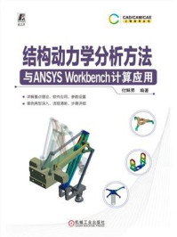 《结构动力学分析方法与ANSYS Workbench计算应用》-付稣昇