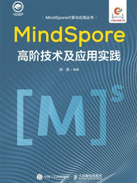 《MindSpore高阶技术及应用实践》-陈雷
