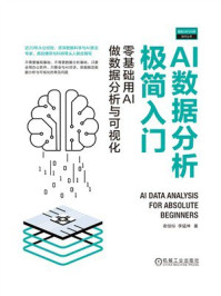《AI数据分析极简入门：零基础用AI做数据分析与可视化》-谢佳标