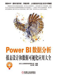 《Power BI数据分析：报表设计和数据可视化应用大全》-金立钢