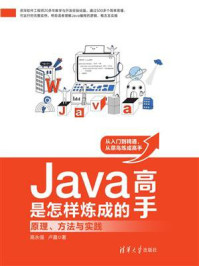 《Java高手是怎样炼成的：原理、方法与实践》-高永强