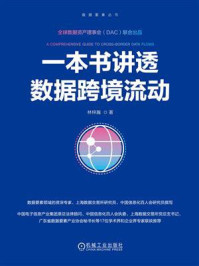 《一本书讲透数据跨境流动》-林梓瀚