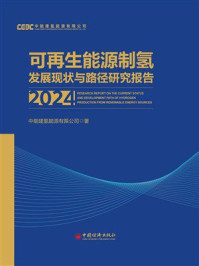 《可再生能源制氢发展现状与路径研究报告.2024》-中能建氢能源有限公司