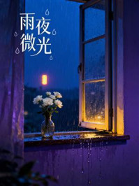 《雨夜微光》-MYHD