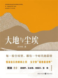 《大地与尘埃》-王新程