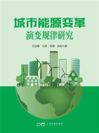 《城市能源变革演变规律研究》-王长建