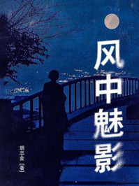 《风中魅影》-胡志金