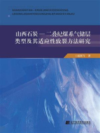 《山西石炭—二叠纪煤系气储层类型及其适应性致裂方法研究》-赵国飞