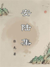 《安陆集》-张先