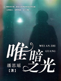 《唯暗之光》-潘思瑶