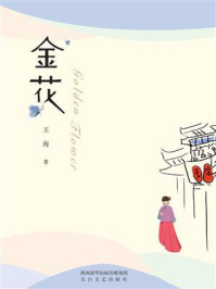 《金花》-王海