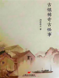 《古镇稀奇古怪事》-润泽荷兰