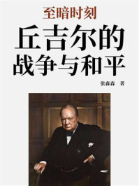 《至暗时刻：丘吉尔的战争与和平》-张淼森